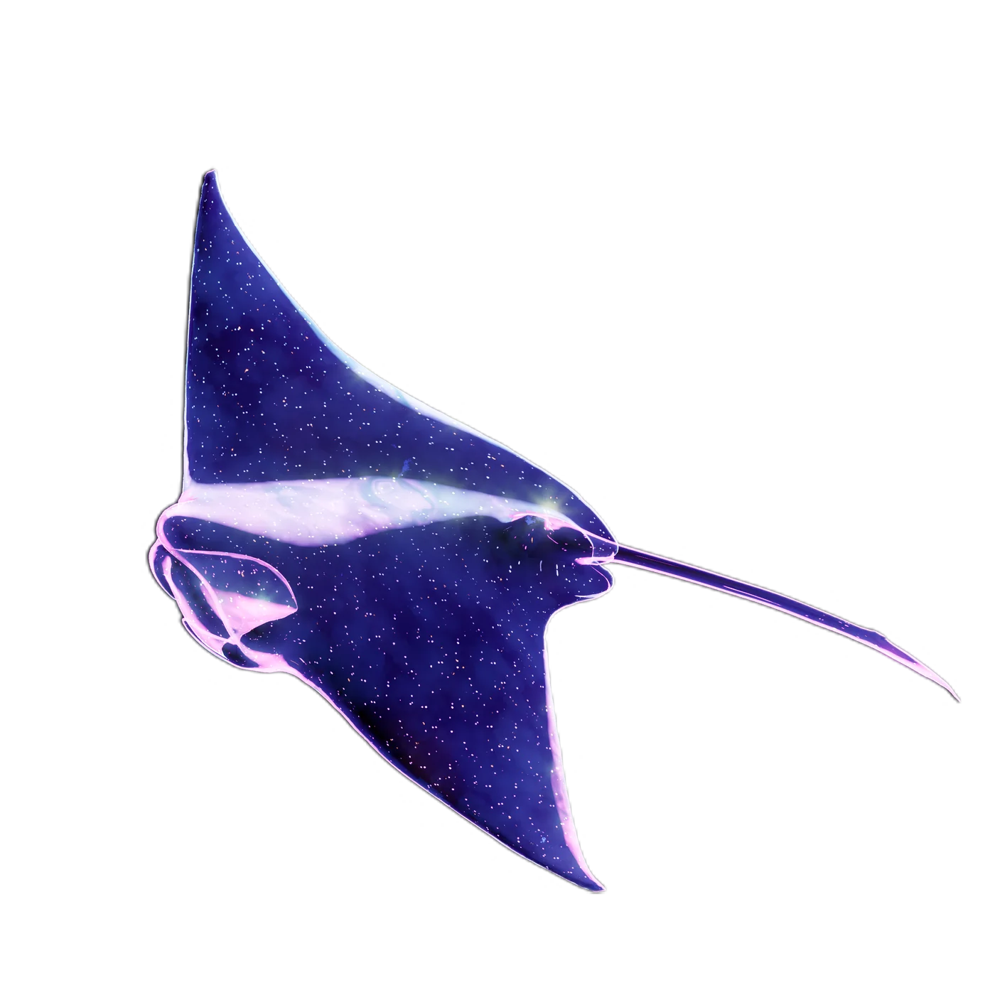 Lumen, a flying manta ray of light and stars